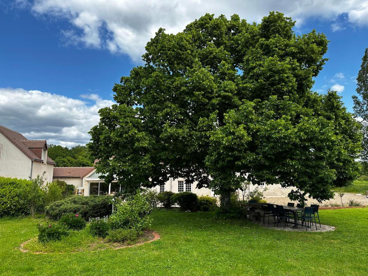 Domaine De Couilleuse Saint-Laurent-Nouan Exterior foto