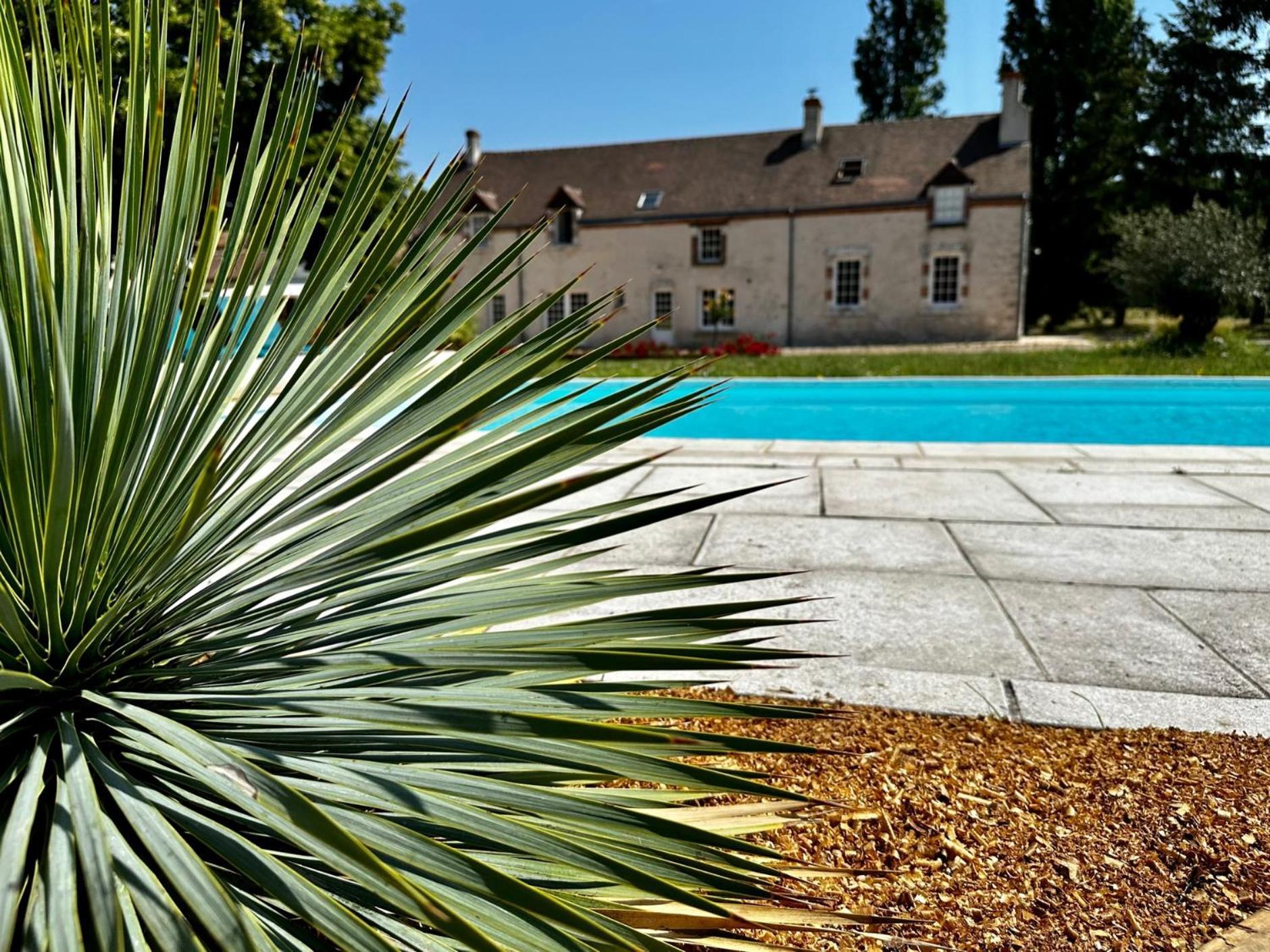 Domaine De Couilleuse Saint-Laurent-Nouan Exterior foto