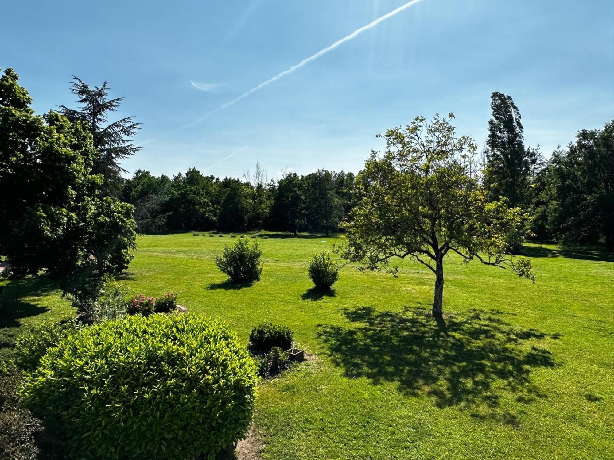 Domaine De Couilleuse Saint-Laurent-Nouan Exterior foto